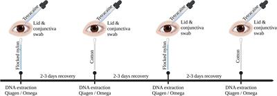 Challenges and insights in the exploration of the low abundance human ocular surface microbiome